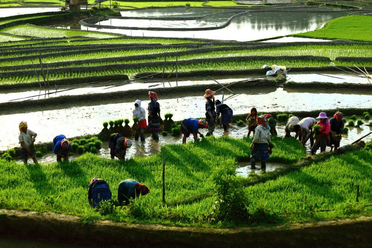 Mu Cang Chai Eco Lodge Nam San Экстерьер фото