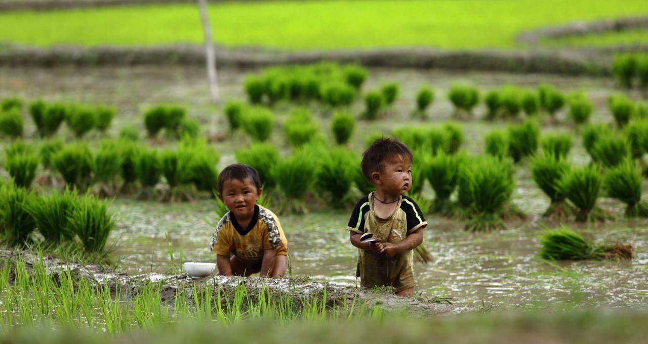 Mu Cang Chai Eco Lodge Nam San Экстерьер фото