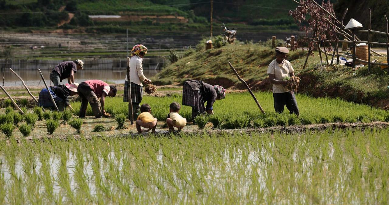 Mu Cang Chai Eco Lodge Nam San Экстерьер фото